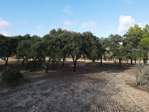 Terreno agrícola em Grândola