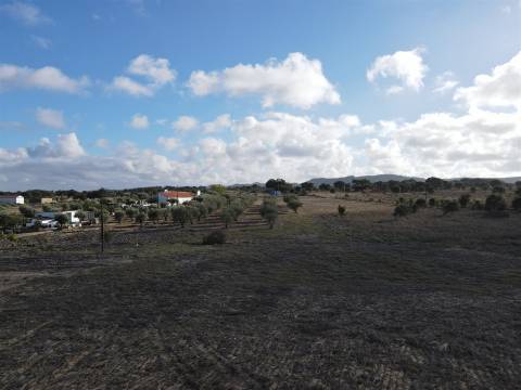 Terreno agrícola em Grândola