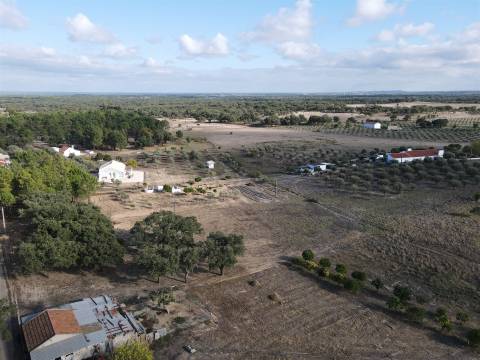 Terreno agrícola em Grândola