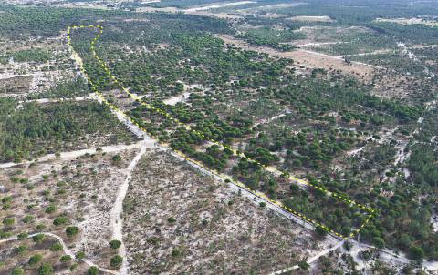 Terreno agrícola em Grândola