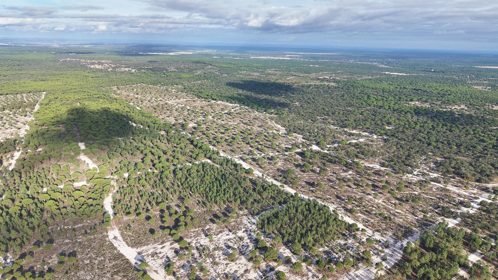 Terreno agrícola em Grândola
