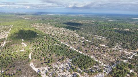 Terreno agrícola em Grândola