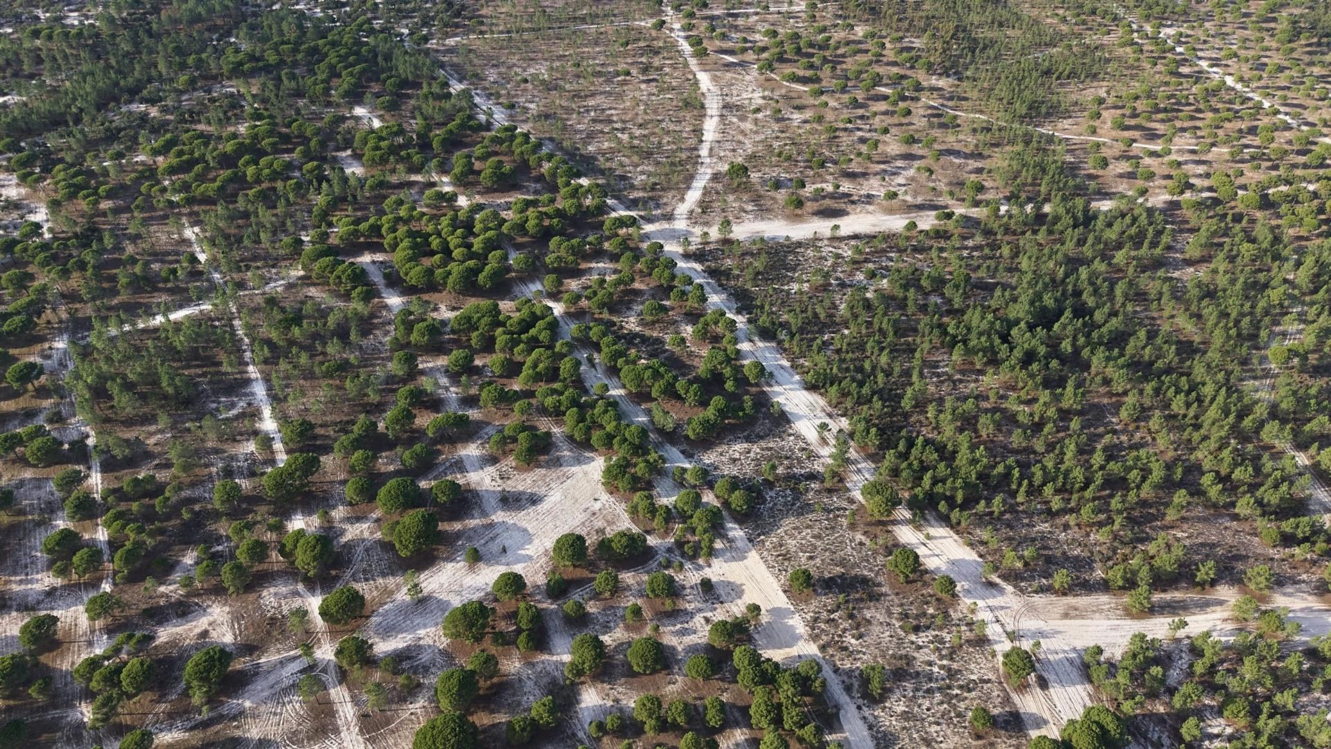 Terreno agrícola em Grândola