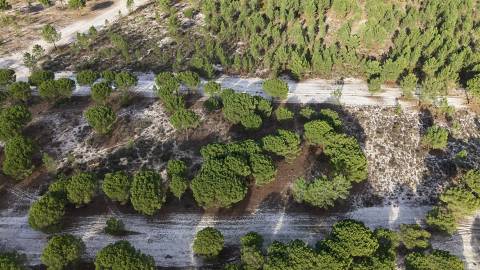 Terreno agrícola em Grândola