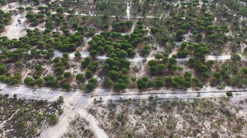 Terreno agrícola em Grândola