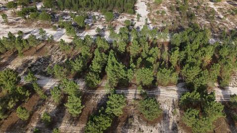 Terreno agrícola em Grândola