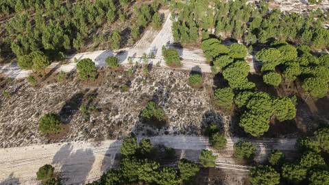 Terreno agrícola em Grândola