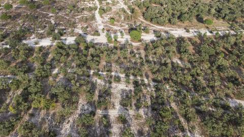 Terreno agrícola em Grândola