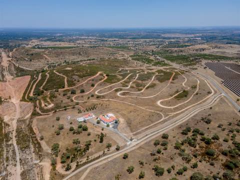 Monte alentejano com 28 hectares