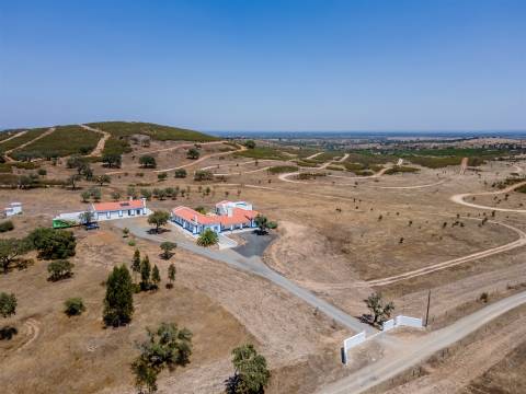 Monte alentejano com 28 hectares