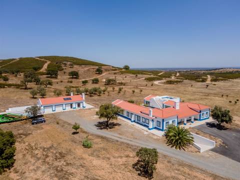 Monte alentejano com 28 hectares