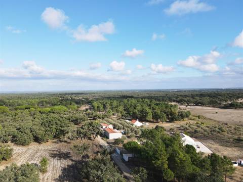 Terreno rústico Grândola