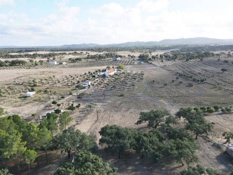 Terreno rústico Grândola