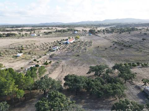 Terreno rústico Grândola