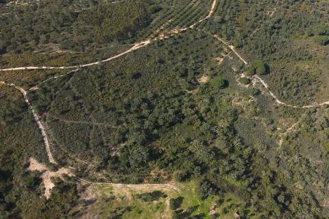 Herdade de 10 hectares em Melides