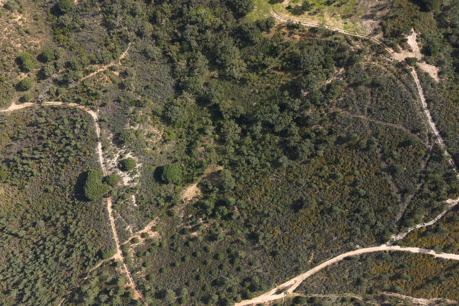 Herdade de 10 hectares em Melides