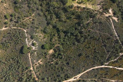 Herdade de 10 hectares em Melides