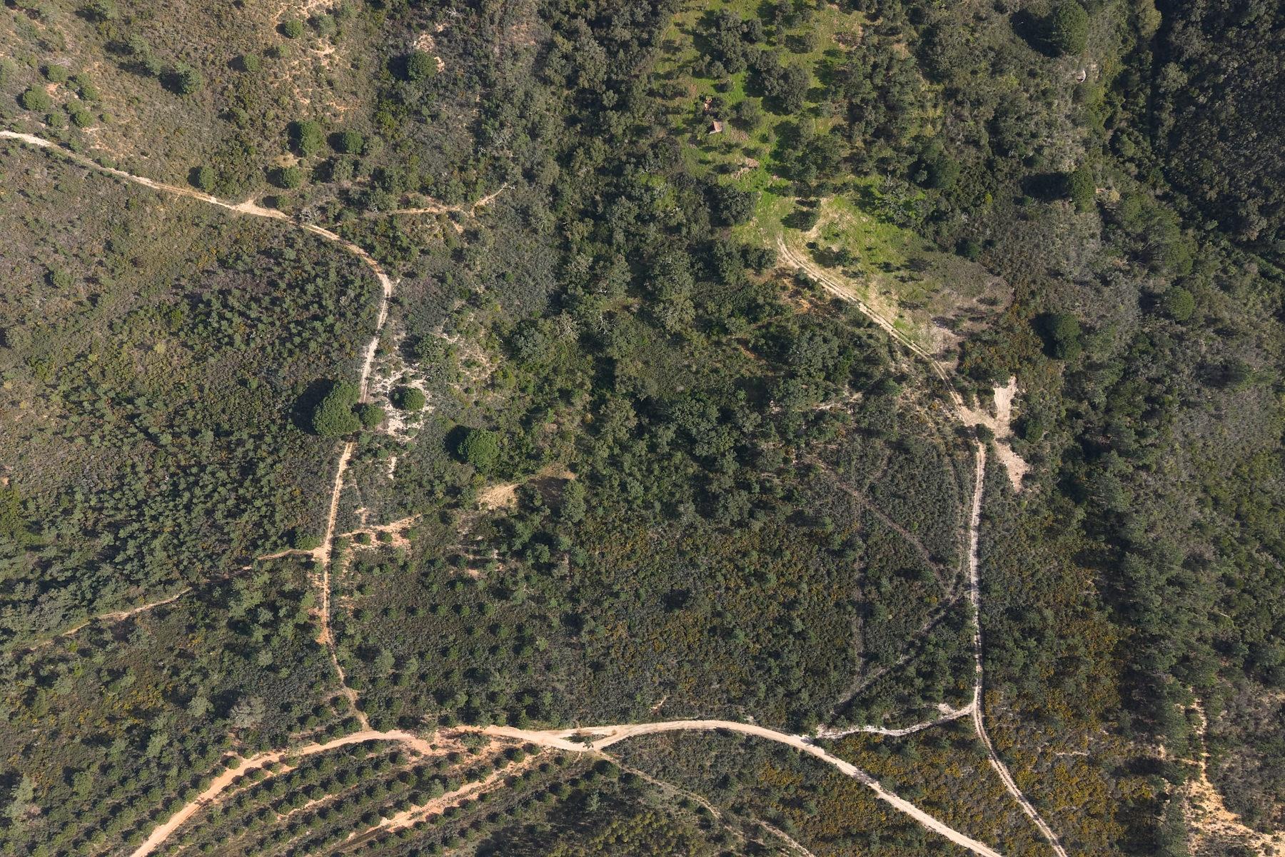 Herdade de 10 hectares em Melides