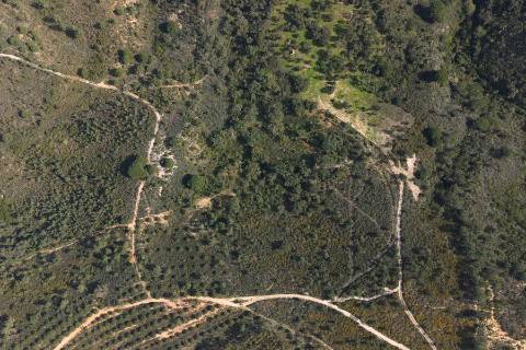 Herdade de 10 hectares em Melides