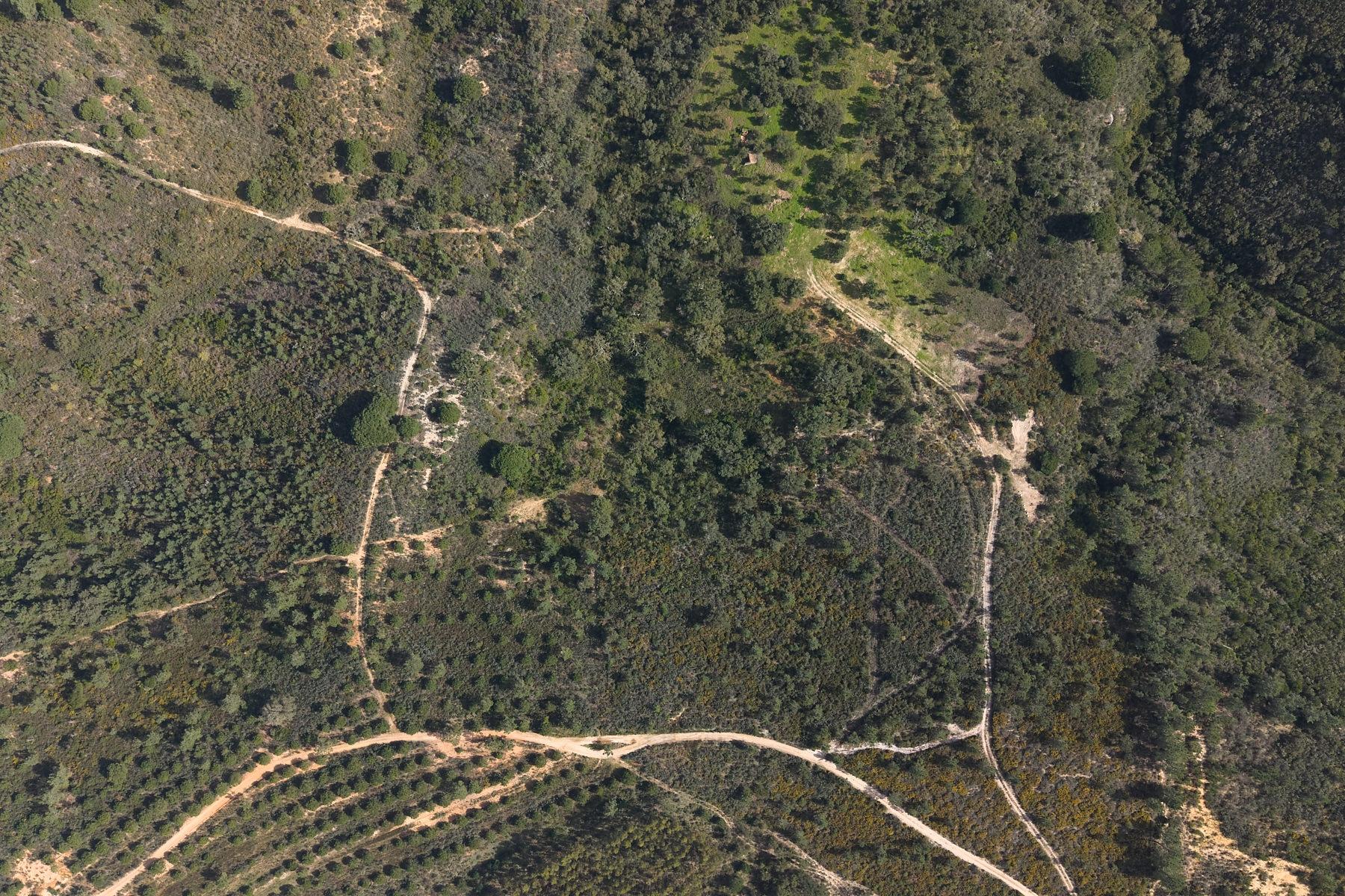 Herdade de 10 hectares em Melides