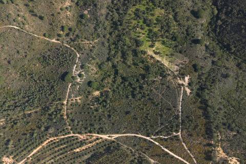 Herdade de 10 hectares em Melides