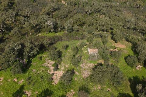 Herdade de 10 hectares em Melides