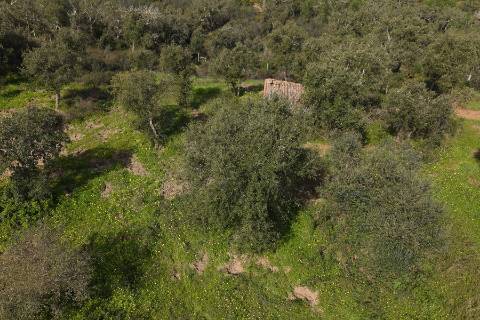 Herdade de 10 hectares em Melides