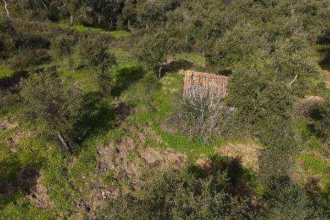 Herdade de 10 hectares em Melides
