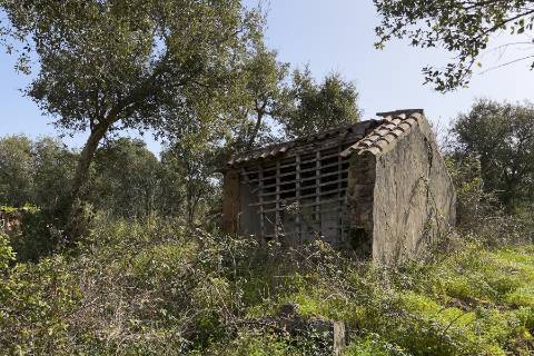 Herdade de 10 hectares em Melides