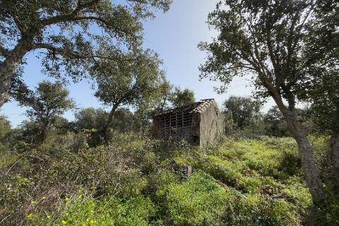 Herdade de 10 hectares em Melides