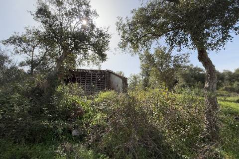 Herdade de 10 hectares em Melides