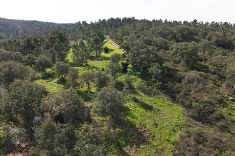 Herdade de 10 hectares em Melides