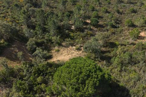 Herdade de 10 hectares em Melides