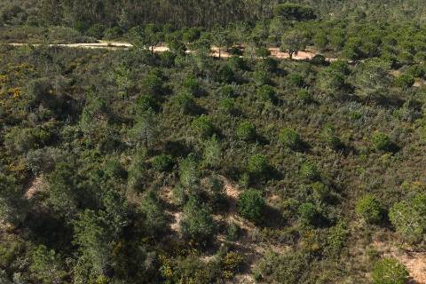 Herdade de 10 hectares em Melides