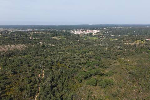 Herdade de 10 hectares em Melides