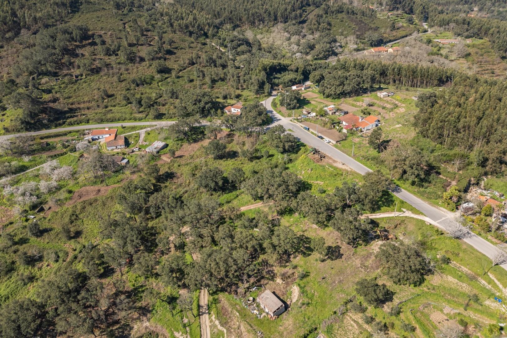 Terreno misto em Monchique