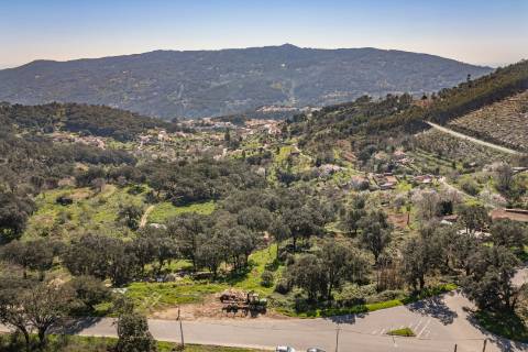 Terreno misto em Monchique