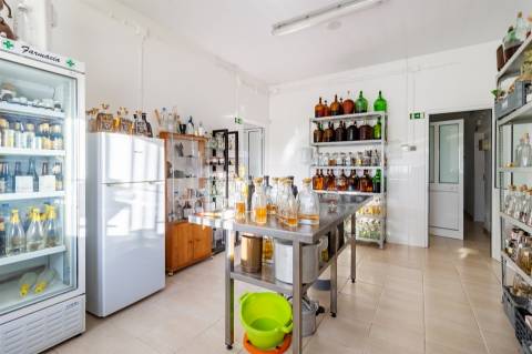 Fábrica de Gin e Cerveja Artesanal