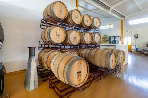 Fábrica de Gin e Cerveja Artesanal