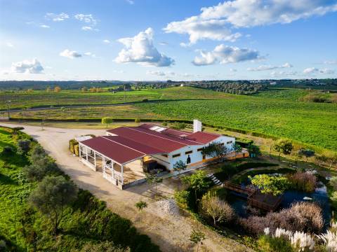 Fábrica de Gin e Cerveja Artesanal