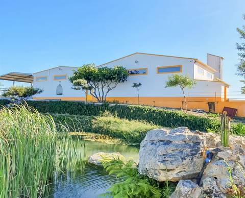 Fábrica de Gin e Cerveja Artesanal