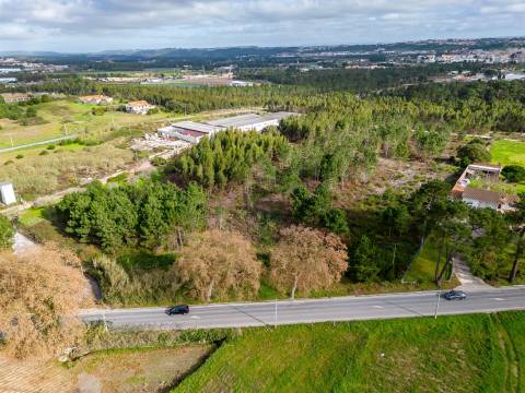 Terreno urbanizável na E.N. 360 - Estrada da Foz Aguas Santas  - Caldas da Rainha