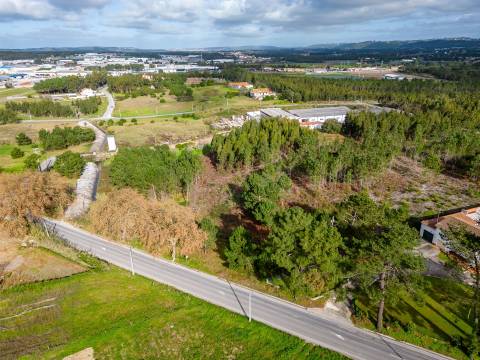 Terreno urbanizável na E.N. 360 - Estrada da Foz Aguas Santas  - Caldas da Rainha