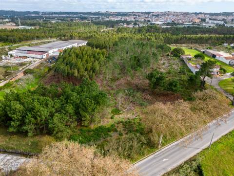 Terreno urbanizável na E.N. 360 - Estrada da Foz Aguas Santas  - Caldas da Rainha