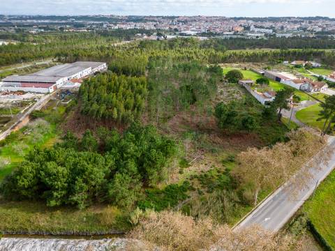 Terreno urbanizável na E.N. 360 - Estrada da Foz Aguas Santas  - Caldas da Rainha