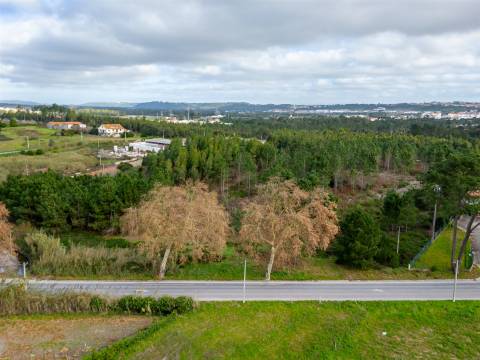 Terreno urbanizável na E.N. 360 - Estrada da Foz Aguas Santas  - Caldas da Rainha