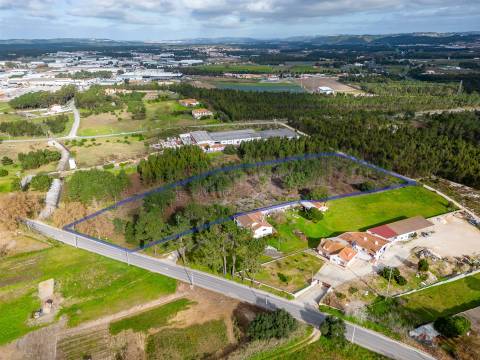 Terreno urbanizável na E.N. 360 - Estrada da Foz Aguas Santas  - Caldas da Rainha