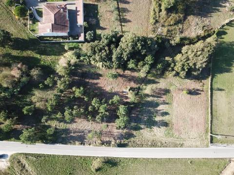 Terreno Urbano com Projeto Aprovado para Residência Sénior em Leiria