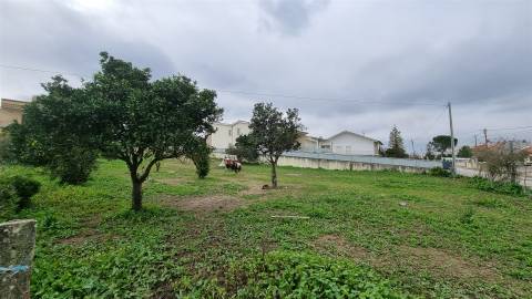 Terreno Rústico com Potencial Urbano – Granja do Ulmeiro, Soure
