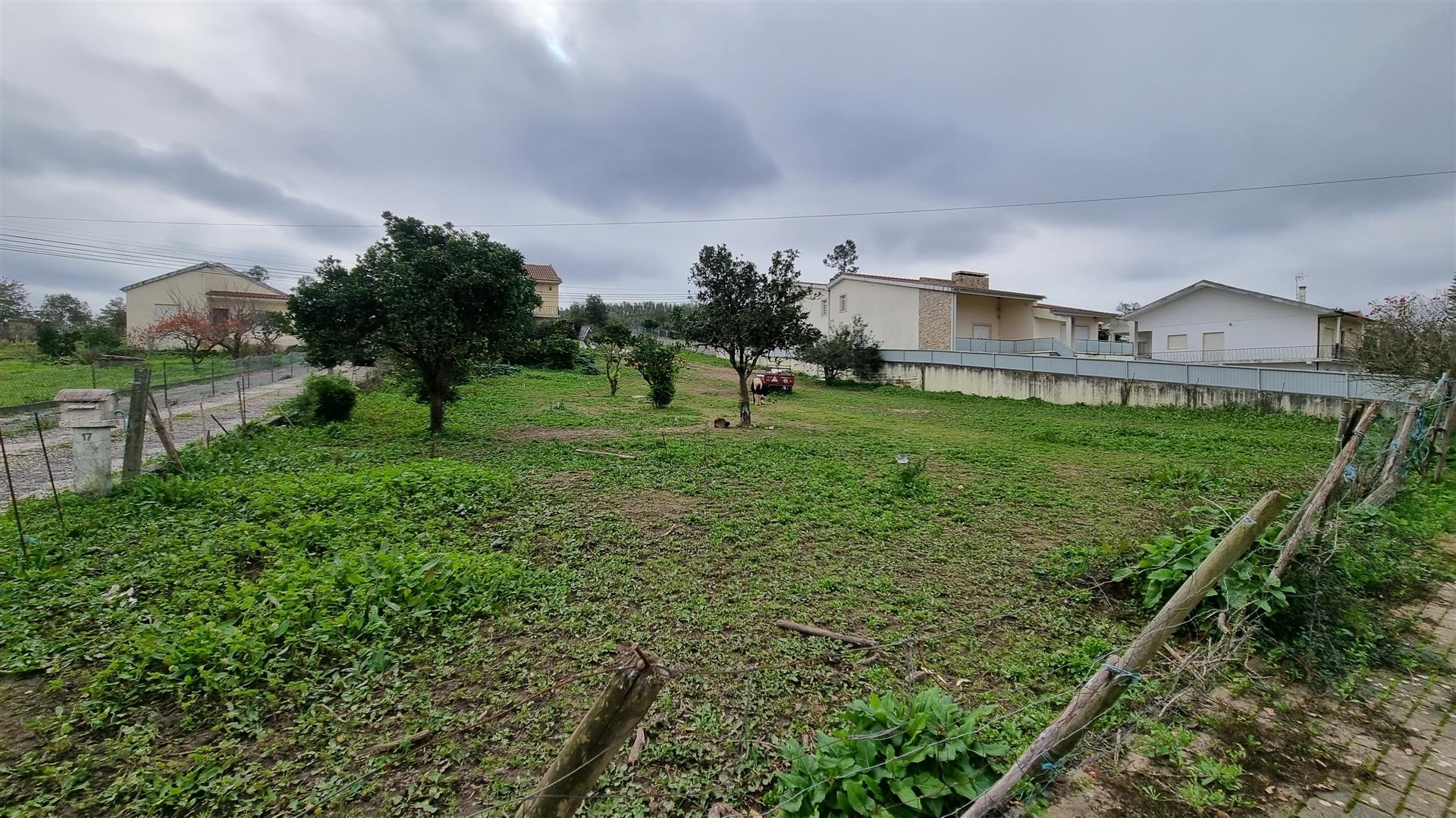 Terreno Rústico com Potencial Urbano – Granja do Ulmeiro, Soure